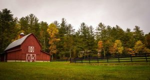 red farm and brown fence with trees in the background