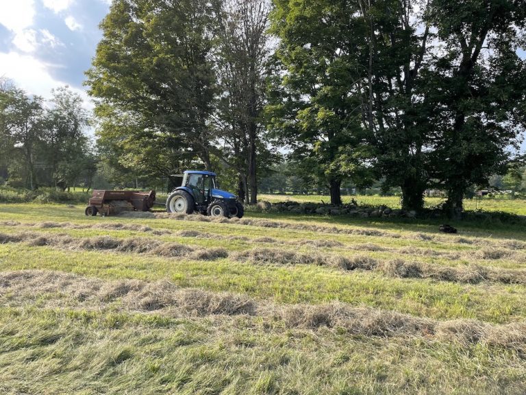 blue tractor baling hay on a sunny day