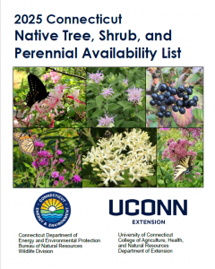 cover of Native Tree, Shrub, and Perennial Availability List with collage of flowering plants and UConn and DEEP logos