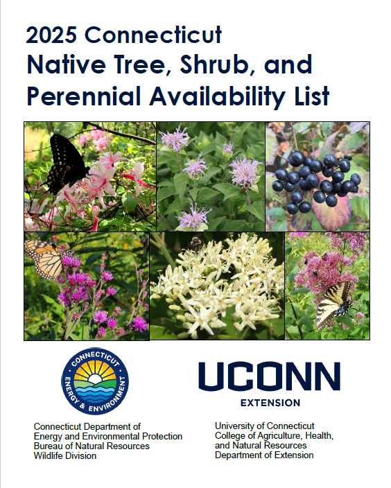 cover of Native Tree, Shrub, and Perennial Availability List with collage of flowering plants and UConn and DEEP logos