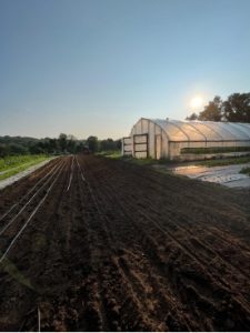 sun rising over the high tunnel and plowed vegetable fields of Colgan Farm in Lebanon, Connecticut
