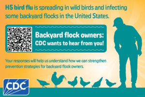outline of a person with various types of poultry, the CDC logo, and a QR code. Text is: Backyard Flock Owners, CDC wants to hear from you; H5 bird flu is spreading in wild birds and in backyard flocks in the United States