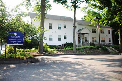 New Haven Center Building
